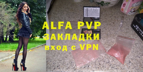 прущие грибы Балахна