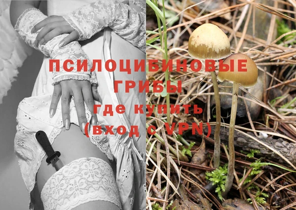 мет Аркадак
