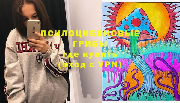 спиды Арсеньев