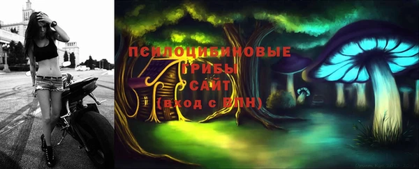 эйфоретик Алексеевка