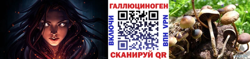 Галлюциногенные грибы GOLDEN TEACHER  где продают наркотики  Абаза 