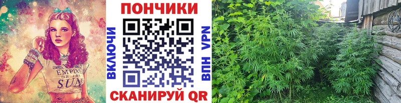 Бошки марихуана VHQ Абаза